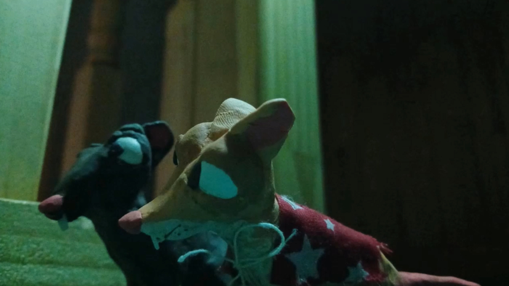 Rats Forever trailer